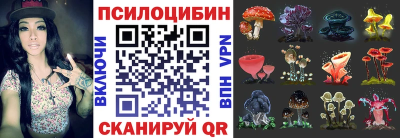 Галлюциногенные грибы прущие грибы  Фурманов 